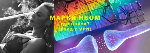 крисы Аркадак