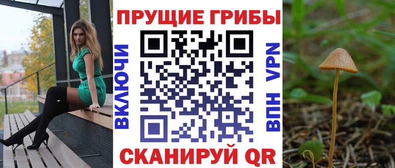Галлюциногенные грибы Magic Shrooms  мориарти какой сайт  Ельня  даркнет сайт  мега ссылки 